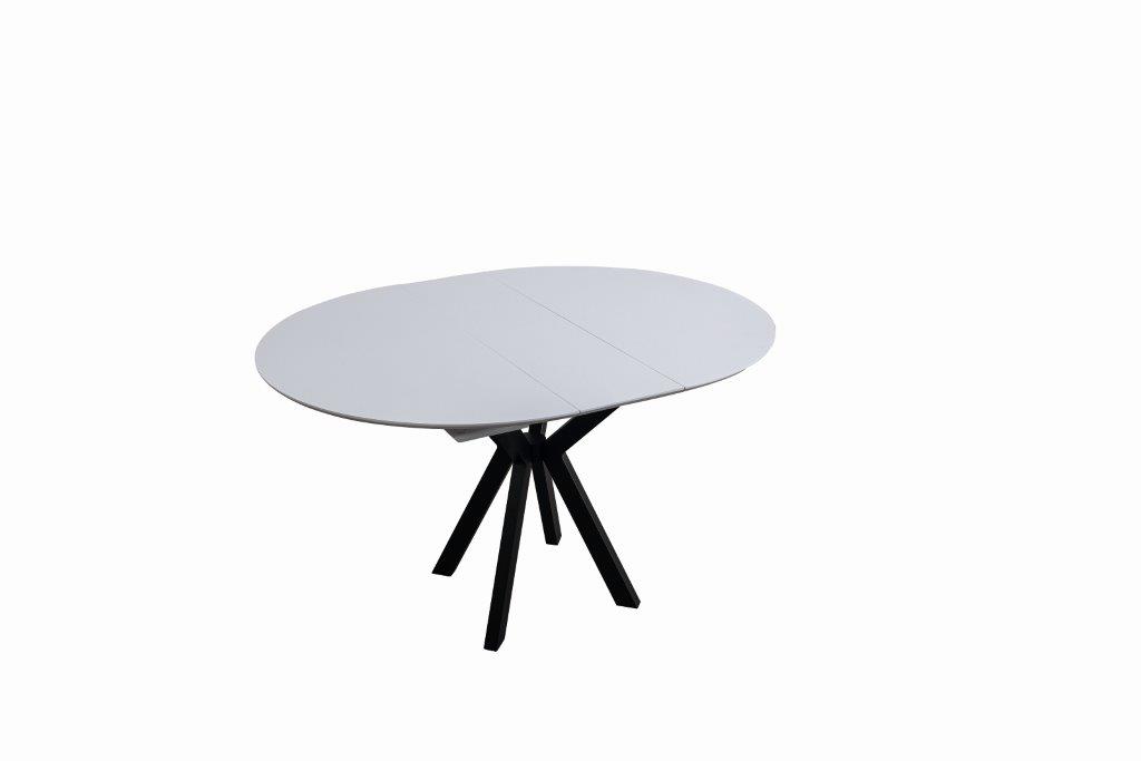 Raudi Esszimmer-Tisch Viyana 120x80 Oval Ausziehbar Weiß