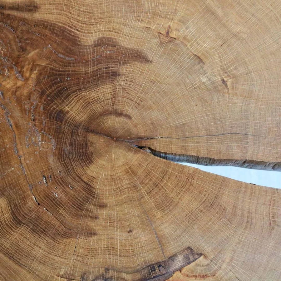Holz4Home Couchtisch aus einer Baumscheibe Eiche Massiv